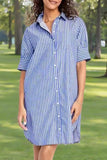 Chouyatou Women's Summer Casual Stripe Shirt Dress Button Down Loose Fit Holiday Mini Shift Dress